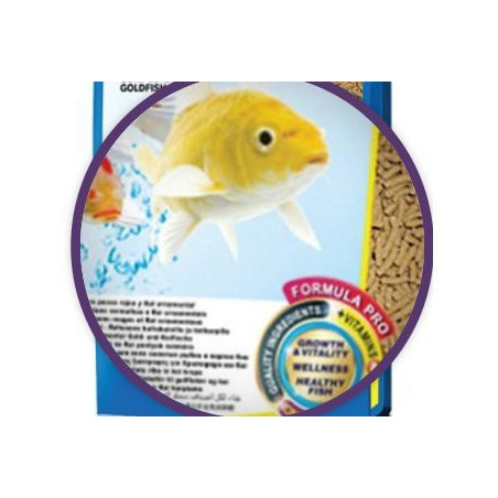 AV Pond Sticks 1000 ml