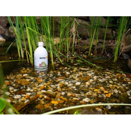 INVITAL MudEater 1l odstraňovač kalu