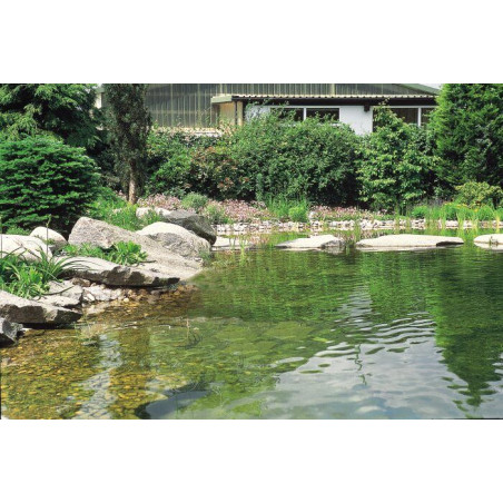 Přípravek do jezírka AquaActiv SediFree