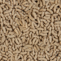 Krmivo SERA Color Stick Nature 3800 ml