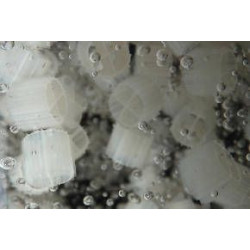 Filtrační médium Evolution Aqua K1 Micro 1 l