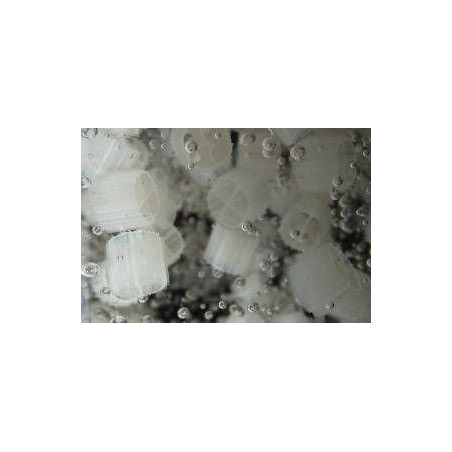 Filtrační médium Evolution Aqua K1 Micro 1 l