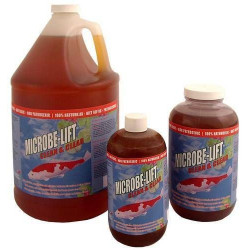 MICROBE LIFT CLEAN & CLEAR 1 l