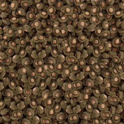 SERA KOI Professional SPIRULINA COLOR 500 g