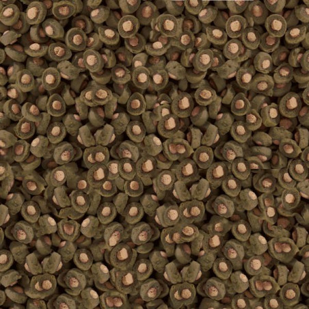 SERA KOI Professional SPIRULINA COLOR 500 g