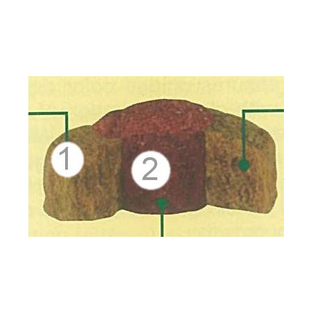 SERA KOI Professional SPIRULINA COLOR 500 g