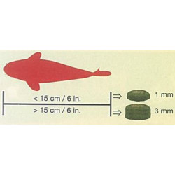 SERA KOI Professional SPIRULINA COLOR 500 g