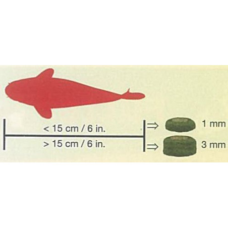 SERA KOI Professional SPIRULINA COLOR 500 g