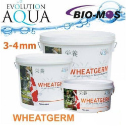 Evolution Aqua Wheatgerm 3-4 mm 6kg