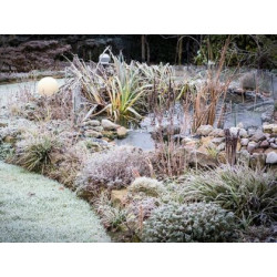 Winter Pond 3000 g