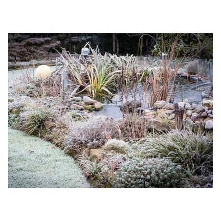 Winter Pond 3000 g