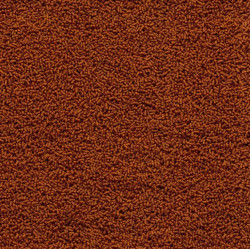 Tetra Pond Sterlet Sticks 1l krmivo pro jesetery