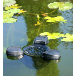 AquaCup skimmer LOTUS