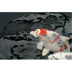 Dynamix Super Mix 1 l