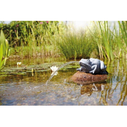 Chrlič vody PONTEC Žába