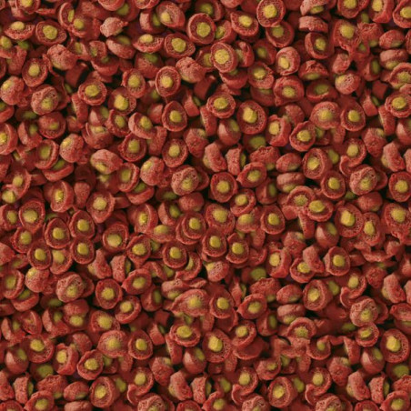 SERA KOI Professional krmivo Jaro/podzim 1000 g