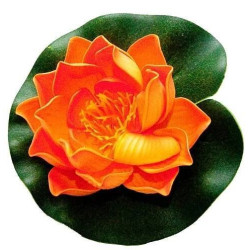 Dekorace Leknín oranžový