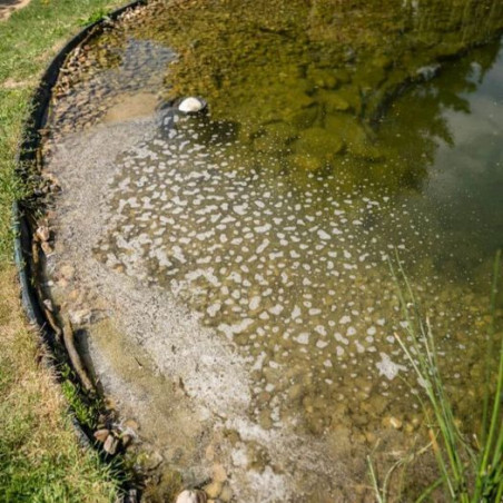 Brilliant Pond odstranění zelené vody