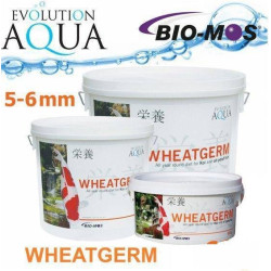 Evolution Aqua Wheatgerm 5-6 mm 15kg
