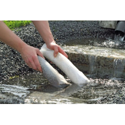 OASE PhosLess Refill pack