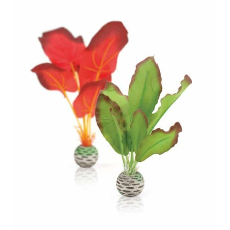 biOrb Silk plant set S green & red