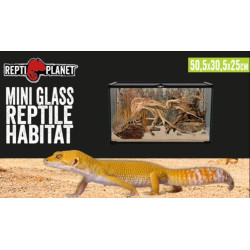 Terárium REPTI PLANET 50,5 x 30,5 x 25 cm