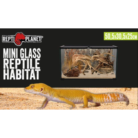 Terárium REPTI PLANET 50,5 x 30,5 x 25 cm