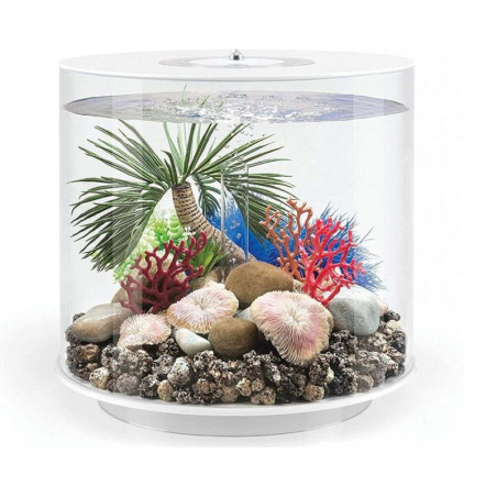 Dekorace BiOrb Palma malá