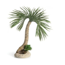 Dekorace BiOrb Palma velká