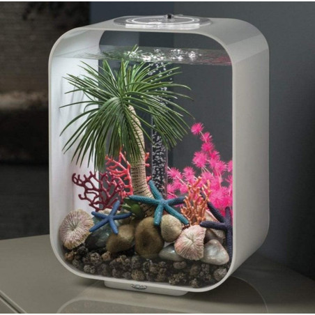 Dekorace BiOrb Palma velká