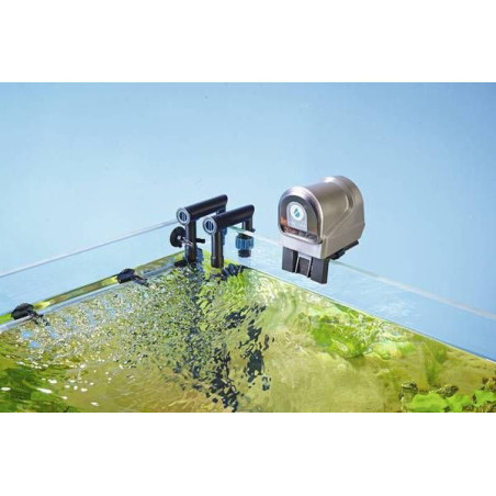 krmení ryb během dovolené FishGuard