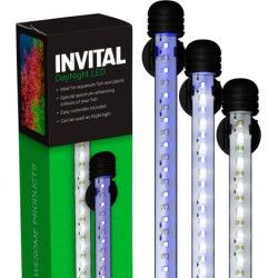 INVITAL DayNight LED 115cm