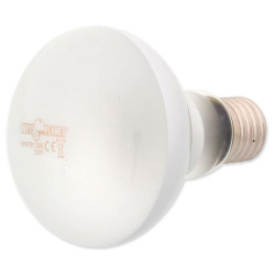 Žárovka REPTI PLANET Daylight Frosted 100 W