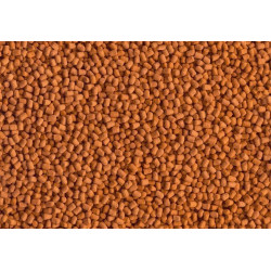 TETRA ReptoMin Energy 250 ml