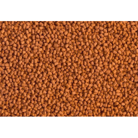 TETRA ReptoMin Energy 250 ml