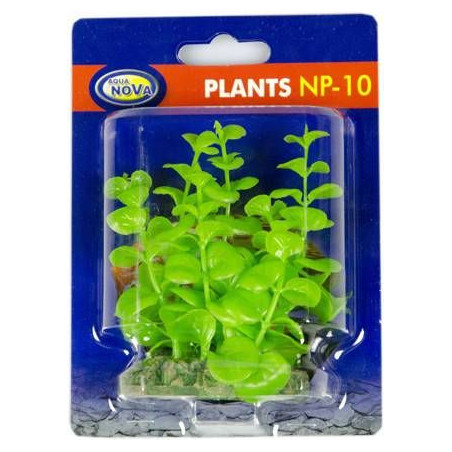 Rostlina do akvária Aqua Nova 10 cm