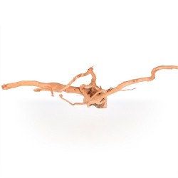 Spider wood XL 71-90cm