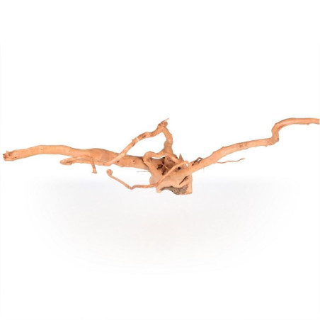 Spider wood XL 71-90cm