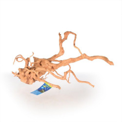 Spider wood L 50-70cm