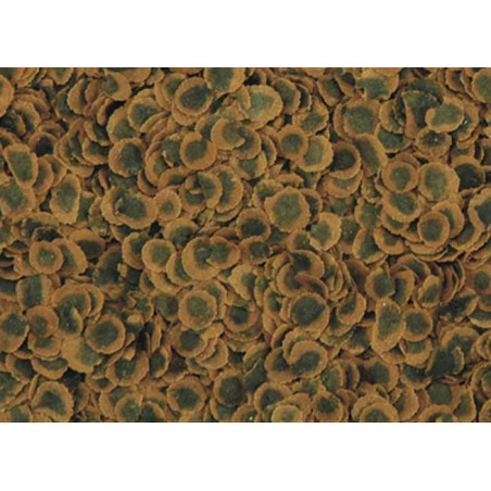 TETRA TetraPro Algae 10l