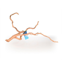 dekorace do terária Spider wood M