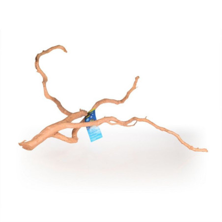 dekorace do terária Spider wood M