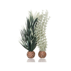 Rostlina BiOrb Ambulia S šedá a zelená