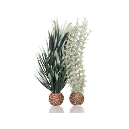 Rostlina BiOrb Ambulia S šedá a zelená