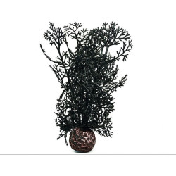 BiOrb černá mořská rostlina malá