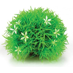 Rostlina BiOrb Topiary ball with daisies