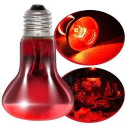 Infračervená žárovka ReptiZoo 100W