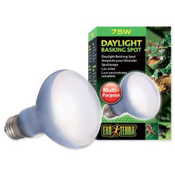 Terarijní žárovka Daylight Basking Spot 75 W