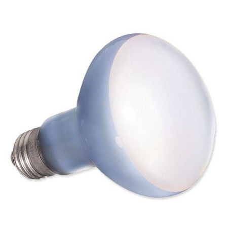 Terarijní žárovka Daylight Basking Spot 75 W