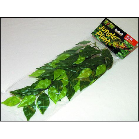 Rostlina EXO TERRA Ficus malá